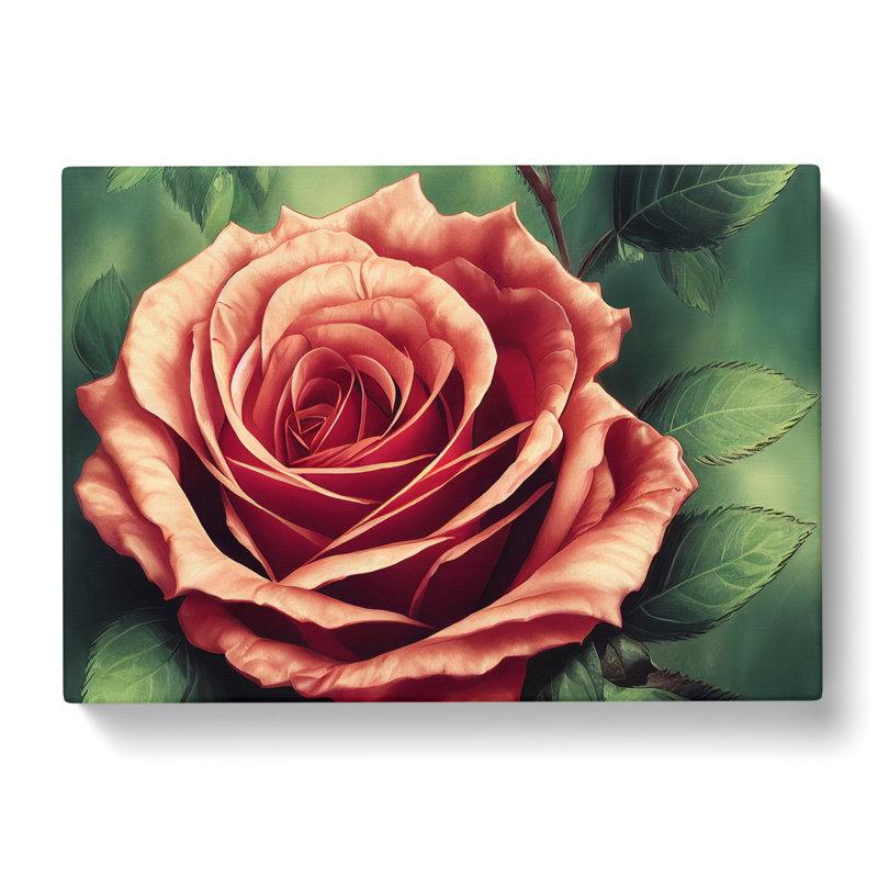 Soothing Rose Flower - Wrapped Canvas, 50cm H x 76cm W x 3cm D