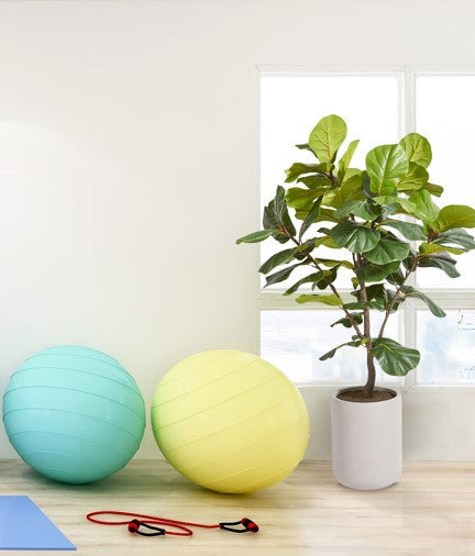 5FT Artificial Fig Tree KD