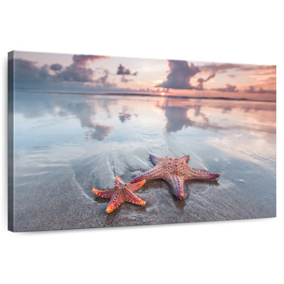 Beach Starfish Pair