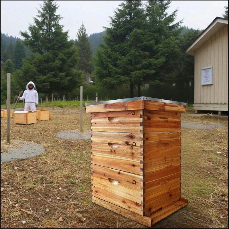 Beekeeping Beehive Accessory