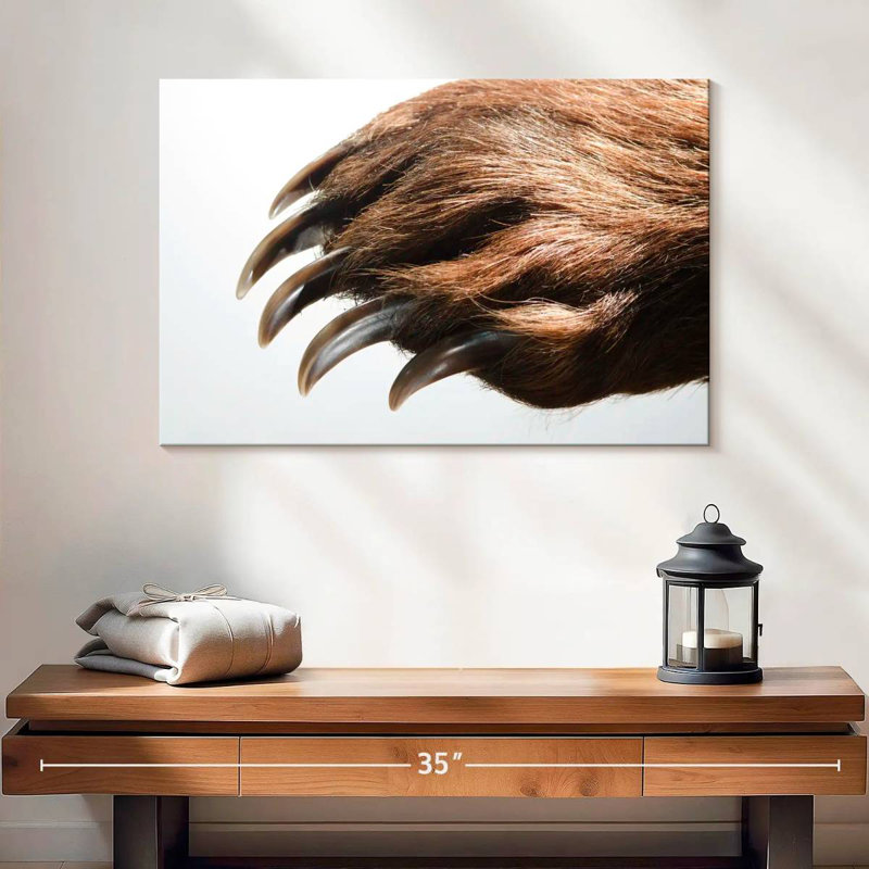 Brampt Brown Bear Claws, 16" H x 24" W