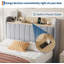 Structure de lit double en bois avec tête de lit, station de charge, lattes et tiroirs en métal, beige-1497589588