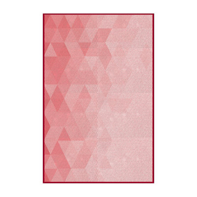 Indoor Rug