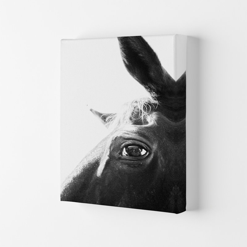 Eye Of The Beholder by Victoria Frost - Print, 29.7cm H x 21cm W x 4cm D, Wrapped Canvas