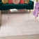 Cohassey Abstract Area Rug