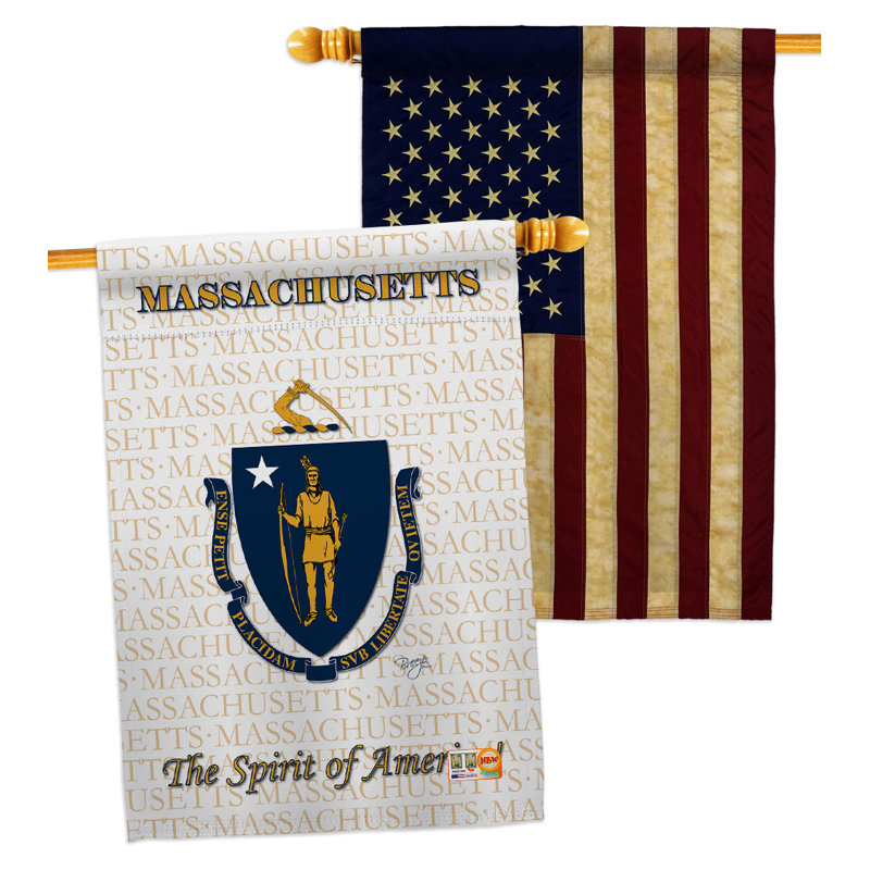 Double Sided 40'' H x 28'' W Polyester House Flag