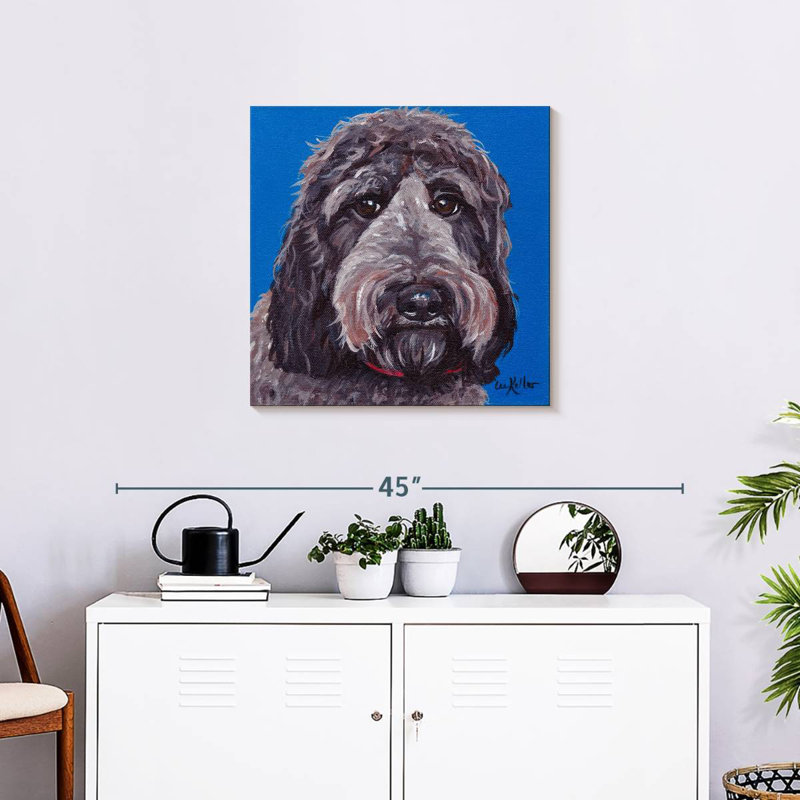 Crowle Labradoodle, 24" H x 24" W