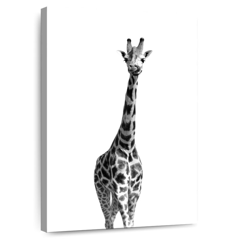 Brampt Long Necked Giraffe, 30" H x 20" W