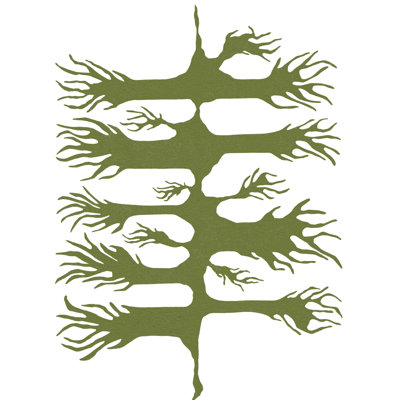 Trish Sierer " Wild Root " by Trish Sierer