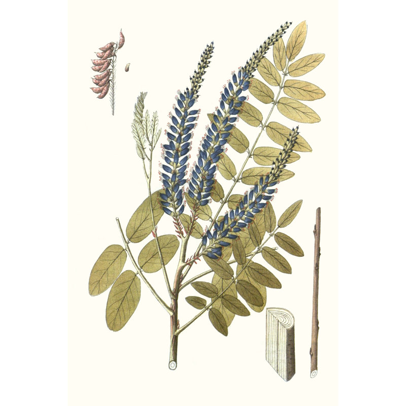 Lacy Leaves II by Unknown - Painting Print, 122cm H x 81cm W, Black Floater Framed