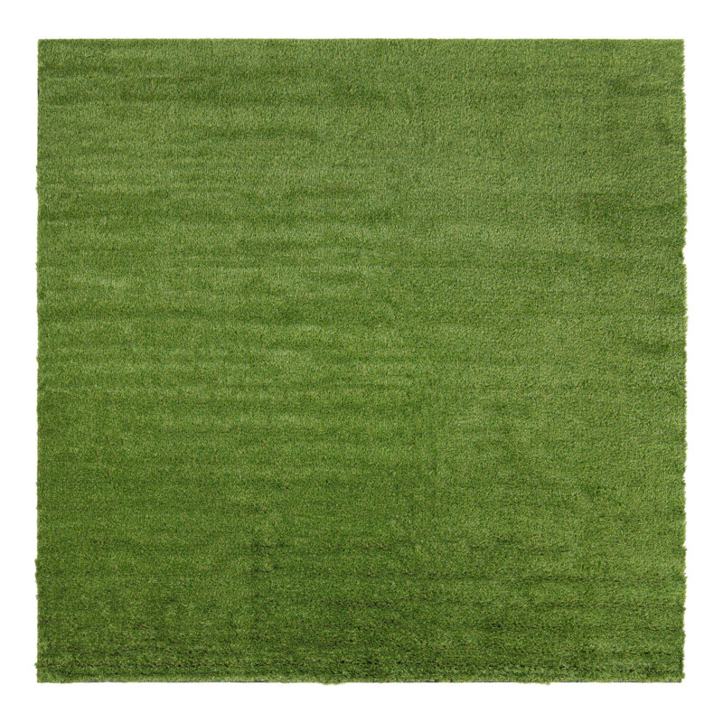 Tapis intérieur / extérieur Cathlyn, Carré 10 pi