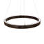 LED Pendant-1741576277