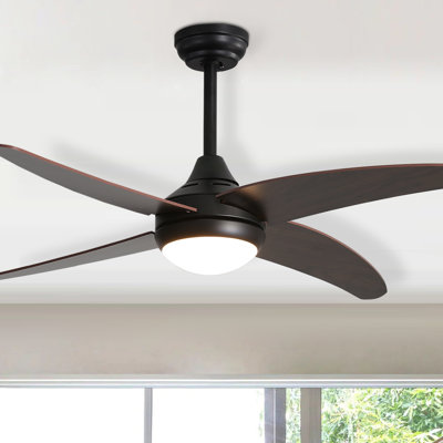 Ceiling Fan with LED Lights