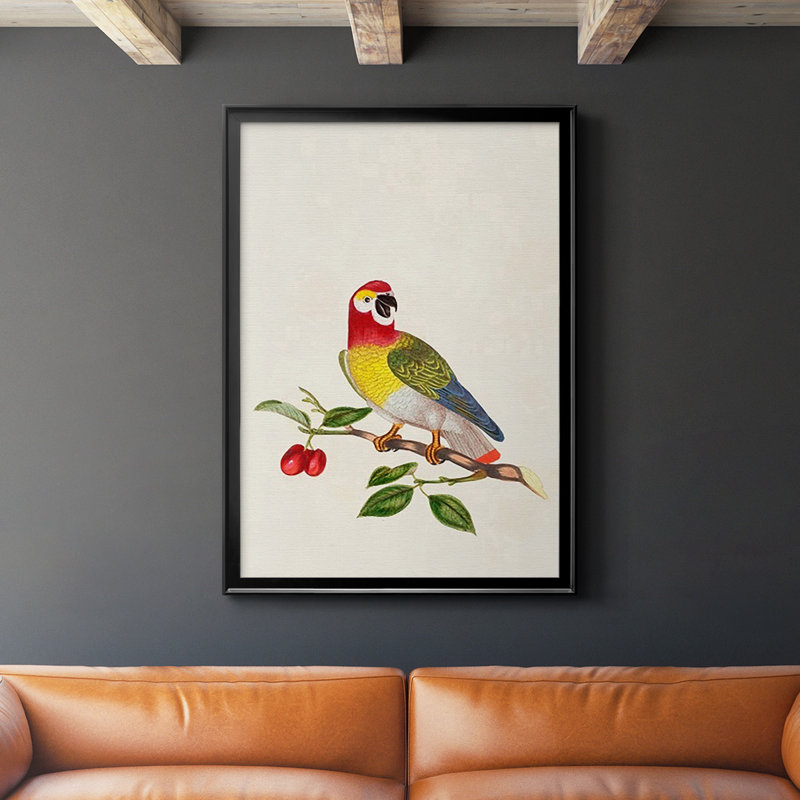 Bird in Habitat VI, reproduction encadrée de qualité supérieure - prête à être accrochée, Noir