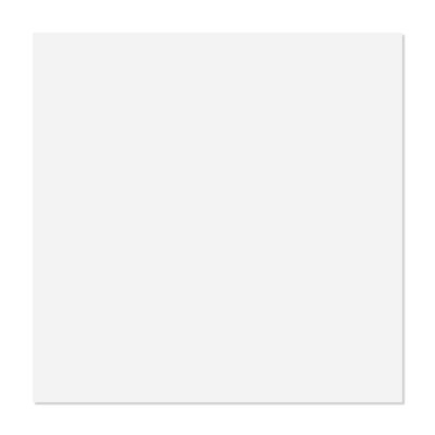 Fasarxiu 2 ft. x 2 ft. Decorative Smooth Drop-in Ceiling Tile 12Pcs - Extra Thick, Fire-Rated, Waterproof, Reusable - Premium PVC, No Sag and Breakage 48(sq. ft. / case)