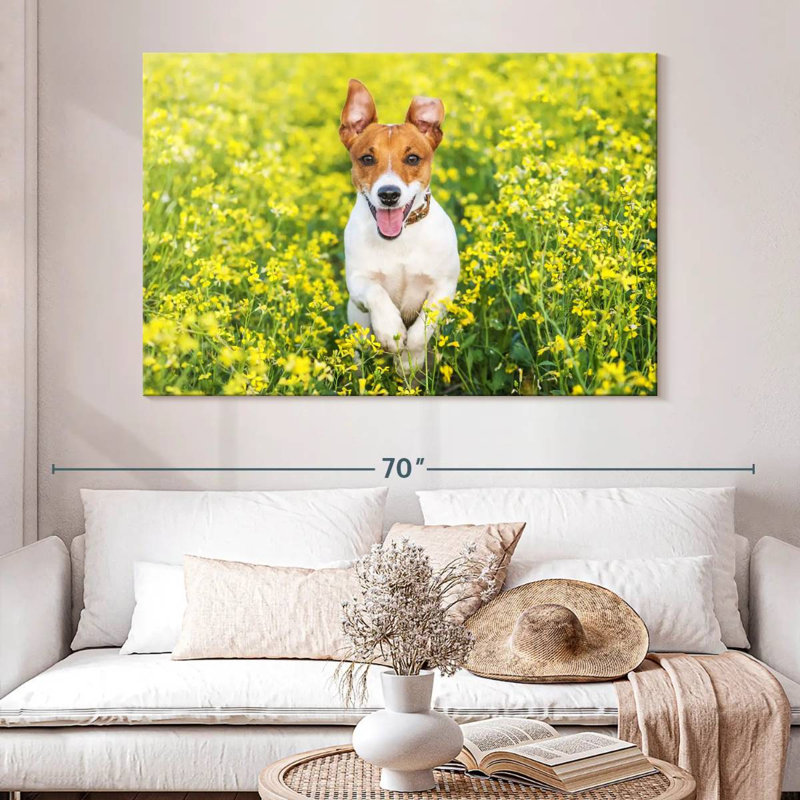 Happy Jack Russell, H 34 po x l 51 po