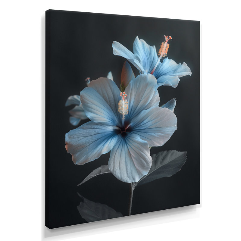 «Blue Crystal Hibiscus Botanical Beauty II - Hibiscus», art mural, H 20 po x l 12 po x P 1 po, Toile tendue