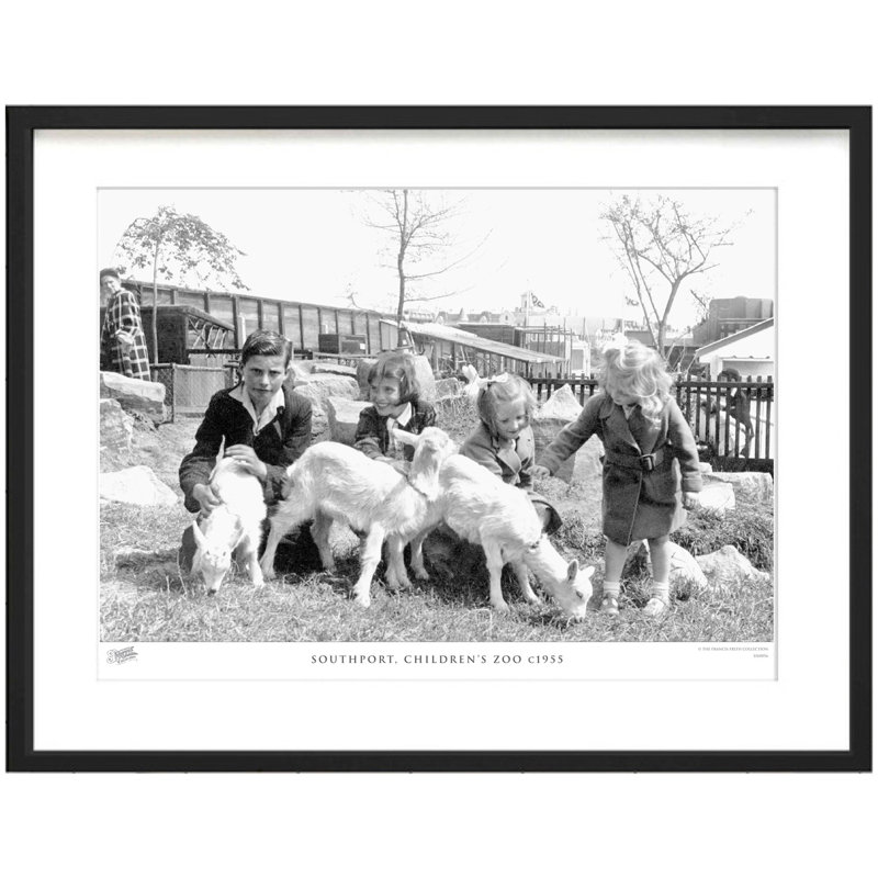 Southport, Children's Zoo C1955 by Francis Frith - Single Picture Frame Print, 28cm H x 36cm W x 2.3cm D