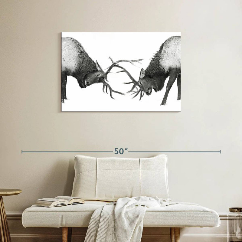 Brampt Fighting Elks, 24" H x 36" W