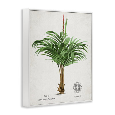 Giclée vintage encadrée de palmier large, design par Val Rhodes