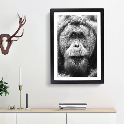 Orangutan - Picture Frame Graphic Art Print