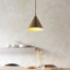 Capello Cali 1lt Pendant light