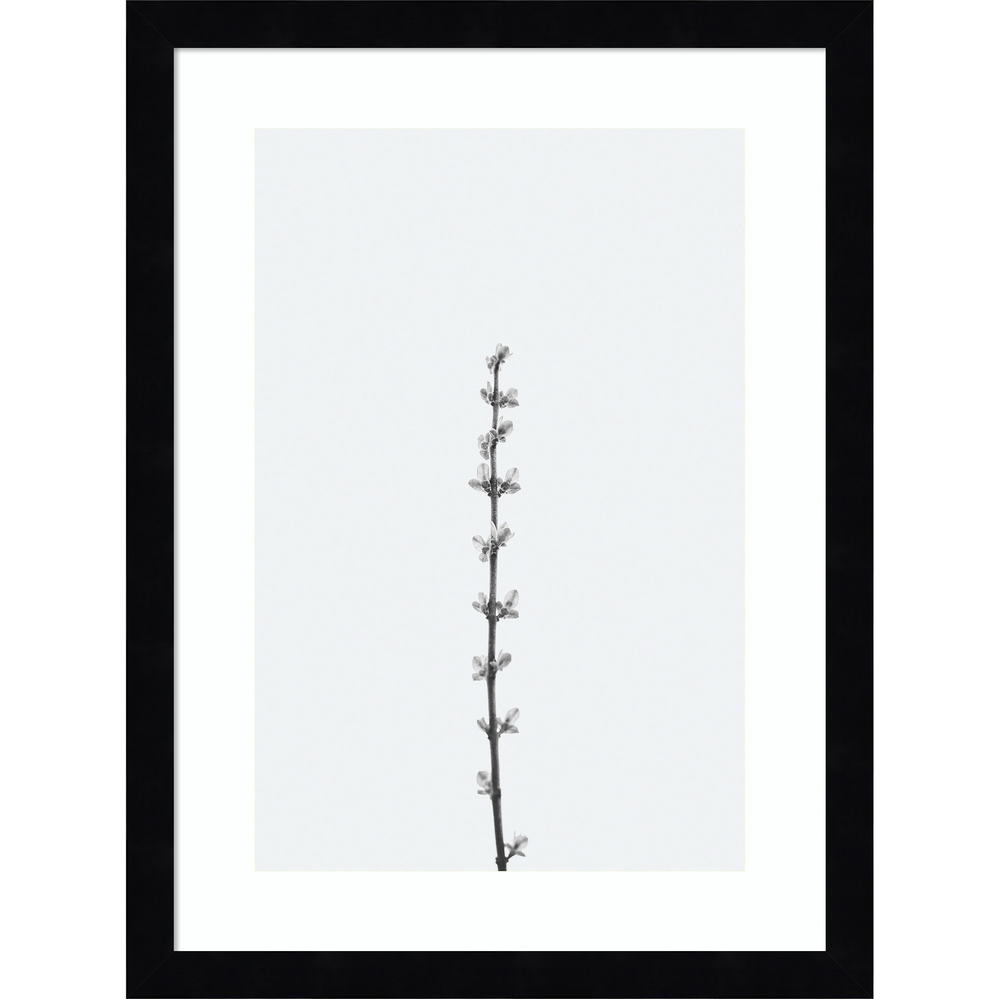 Retro Tennessee Botanical No 1 by Adela - Single Picture Frame Photograph, 17" H x 13" W x 1" D, Black