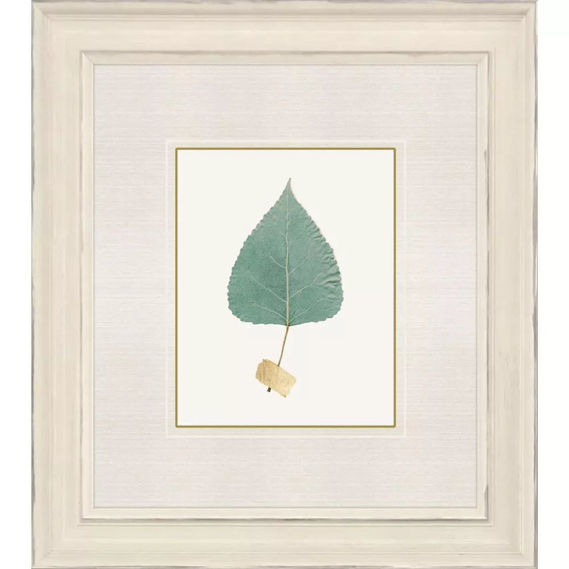 Leaf Adorned II Set by Giclee Studio