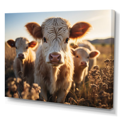 Bouvier de la famille II - impression