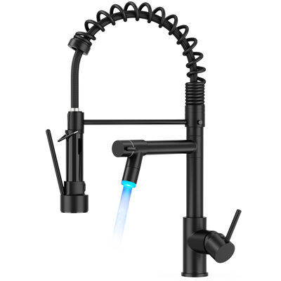 FORIOUS LED Light Pull Out Kitchen Faucet with Accessories