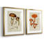 Variétés de champignons III - reproduction encadrée de qualité supérieure - prête à être accrochée