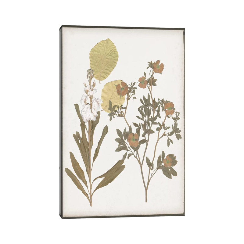 Book-Pressed Flowers I by Jennifer Goldberger - Wrapped Canvas Painting, 66.04 cm H x 45.72 cm W x 3.175 cm D