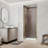 Pivot Frameless Shower Door