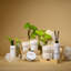 Vaporisateur tout-en-un 5 oz-111113209