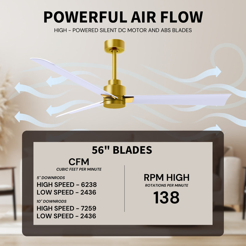 Alessandra Outdoor Downrod Ceiling Fan, Brushed Brass, Matte White