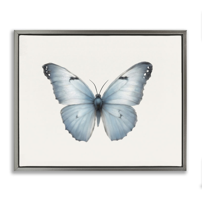 Art mural sur toile flottante bleue avec papillon symétrique bleu par Elizabeth Medley, Cadre flottant gris lustré