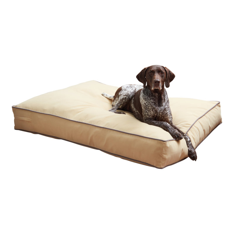 Lit pour chien Olivarez Classic, Grand (L 48 po x l 36 po x H 6 po), Crème au beurre
