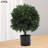 2 - Piece Artificial Evergreen Tree in Pot Set