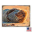 Bloc de bois seal Speier-1916326005