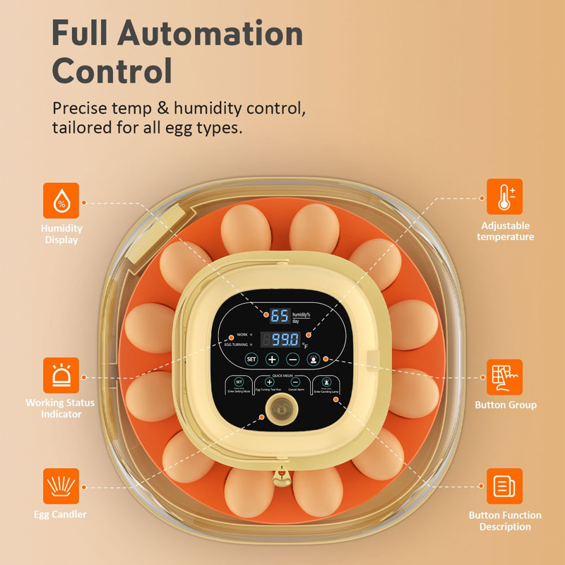Egg Incubator