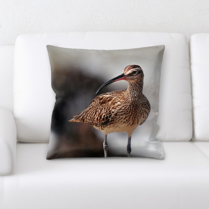 Coussin whimbrel