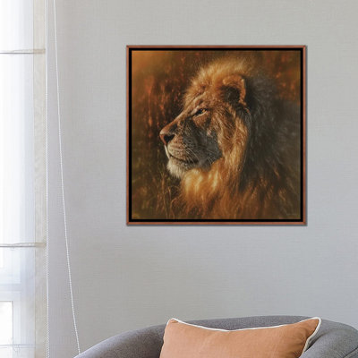 Sunbathing Lion - Square - Wall Art Print - Framed Canvas