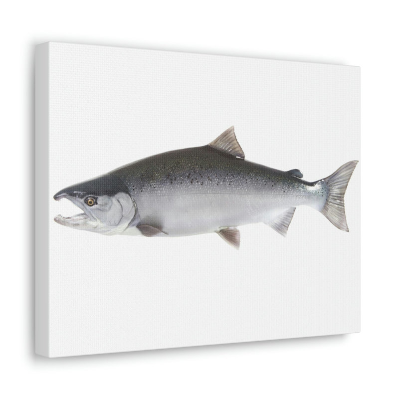 No Frame Print on Canvas, 18cm H x 24cm W
