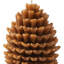 Bougie dimensionnelle 3 "Pinecone