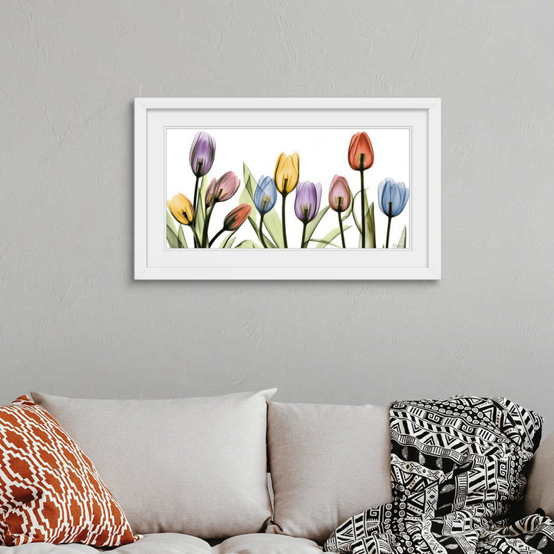 Tulipe - imprimé, H 23 po x l 38 po x P 1 po, Cadre blanc