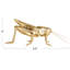 Waiel Resin Cricket Figurine 