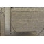 Tapis unique 8 pi 2 po x 10 pi 1 po Forti