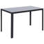 Glass Top Metal Base Dining Table