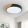 Eulane 1-Light 30cm LED Flush Mount Ceiling Light