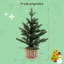Lighted Artificial Pine Christmas Tree
